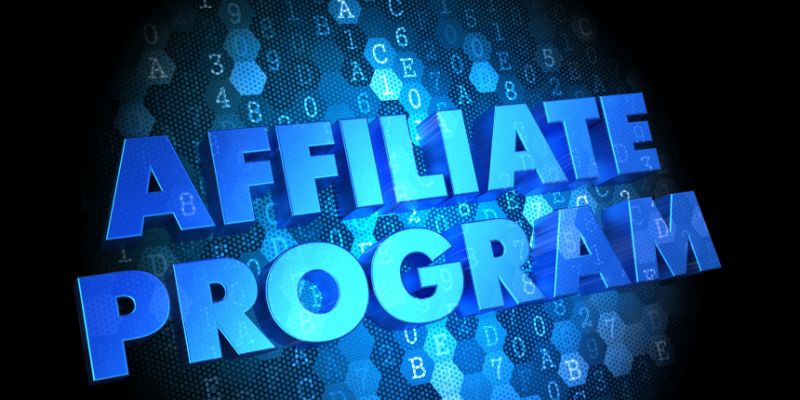 Overdependence on a Single Affiliate Program